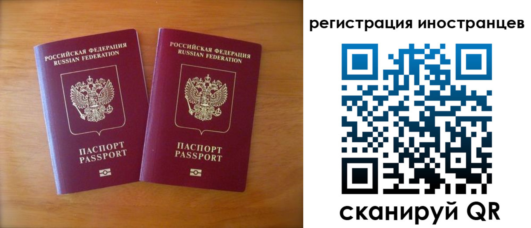 прописка поиск в Луге